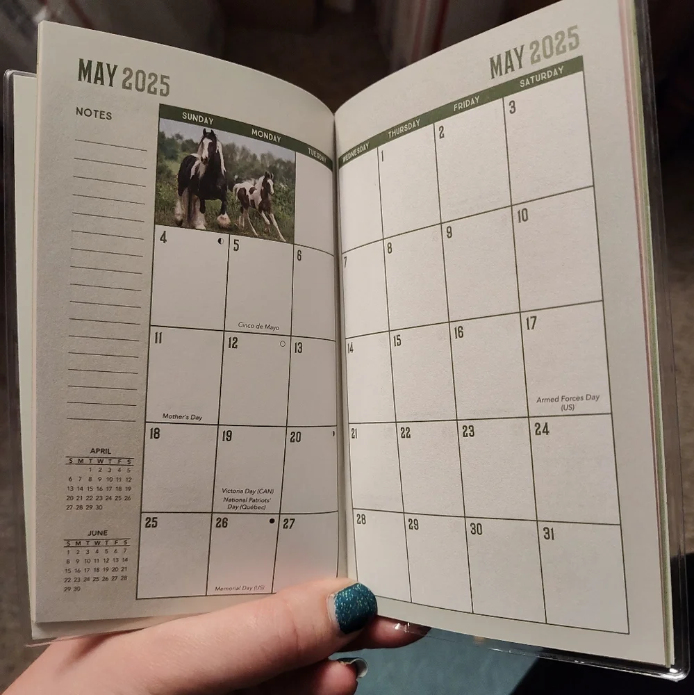 2025 2026 Pocket Planner Kittens Horses Psalms Puppies NEW CHOOSE